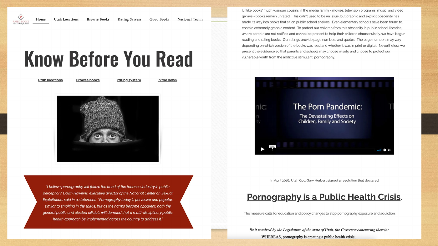 Ivory’s slide shows the RatedBooks homepage and its pornography-as-a-public-health-crisis message.